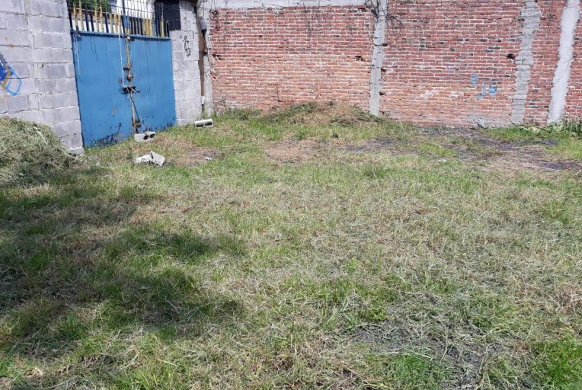 WhatsApp Image 2025-12-18 at 19.21.26