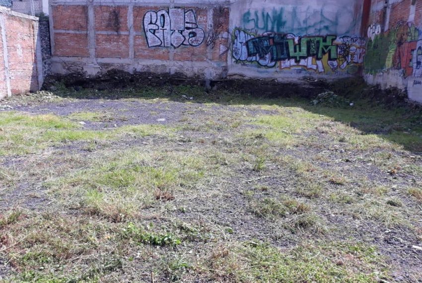 WhatsApp Image 2025-12-18 at 19.21.56