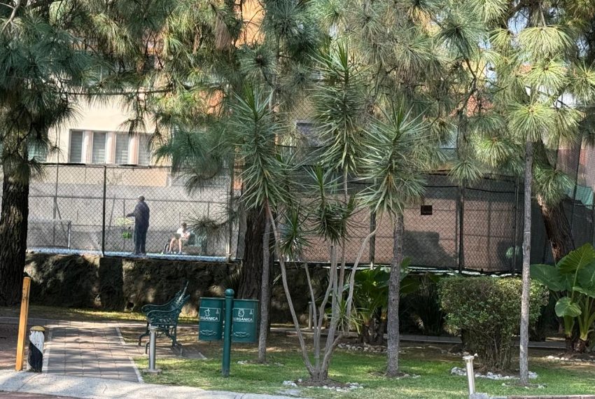 WhatsApp Image 2026-01-07 at 14.09.00 (3)