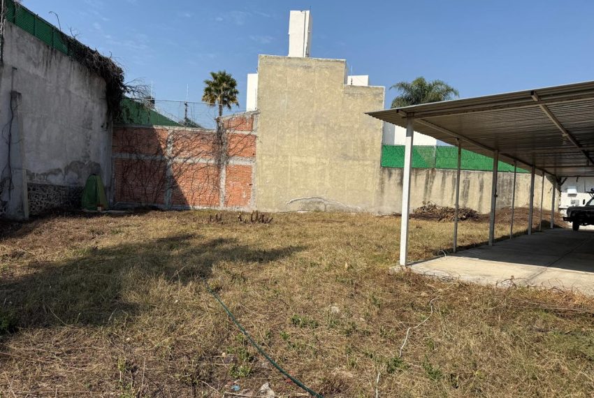 WhatsApp Image 2026-01-07 at 14.09.00 (9)