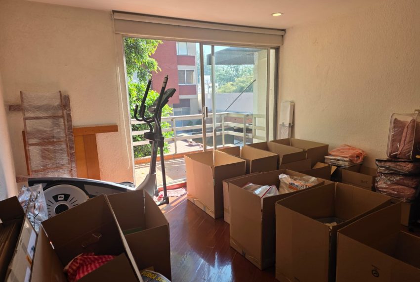 WhatsApp Image 2026-02-11 at 19.21.00 (8)