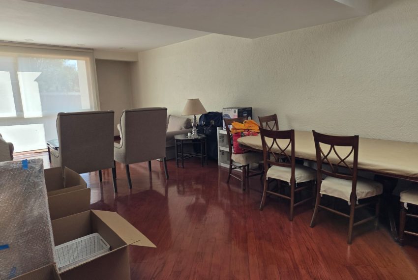 WhatsApp Image 2026-02-11 at 19.51.23 (1)