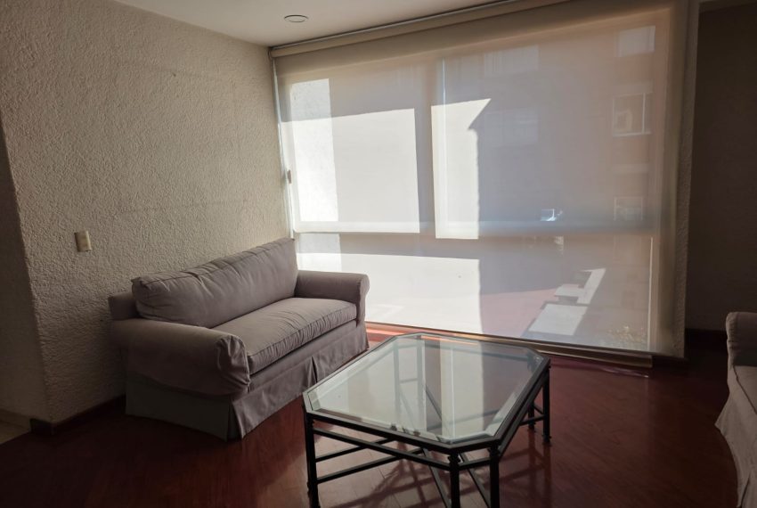 WhatsApp Image 2026-02-11 at 19.51.23 (2)