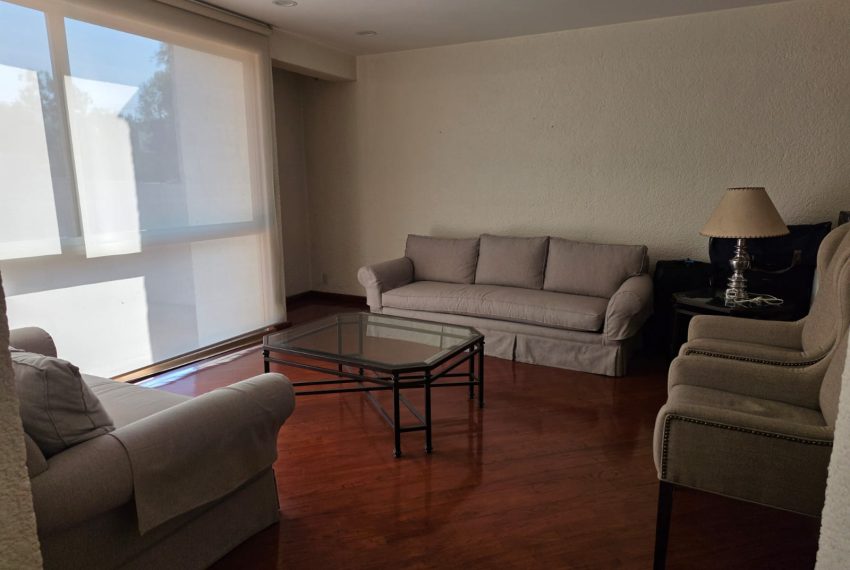 WhatsApp Image 2026-02-11 at 19.51.23 (4)