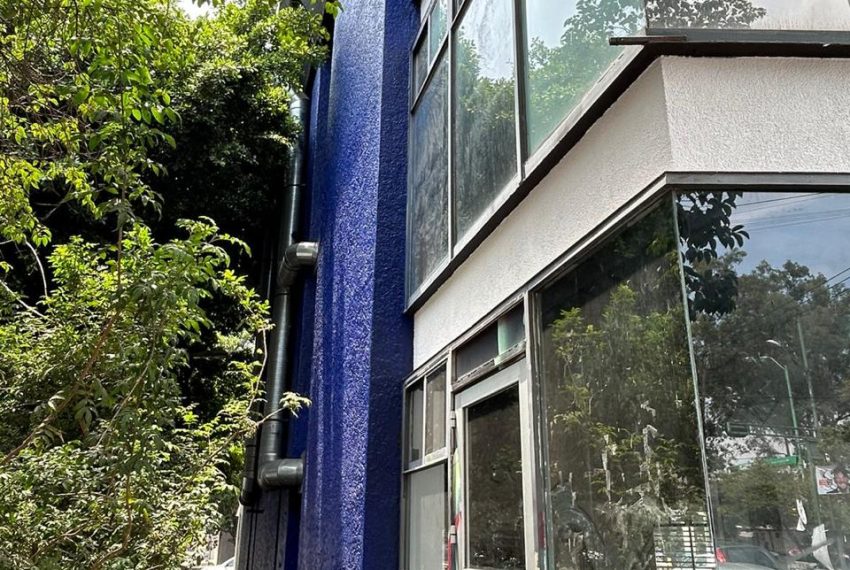 WhatsApp Image 2026-02-21 at 11.24.27