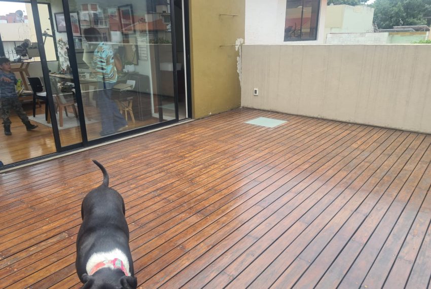 WhatsApp Image 2025-05-16 at 12.22.17