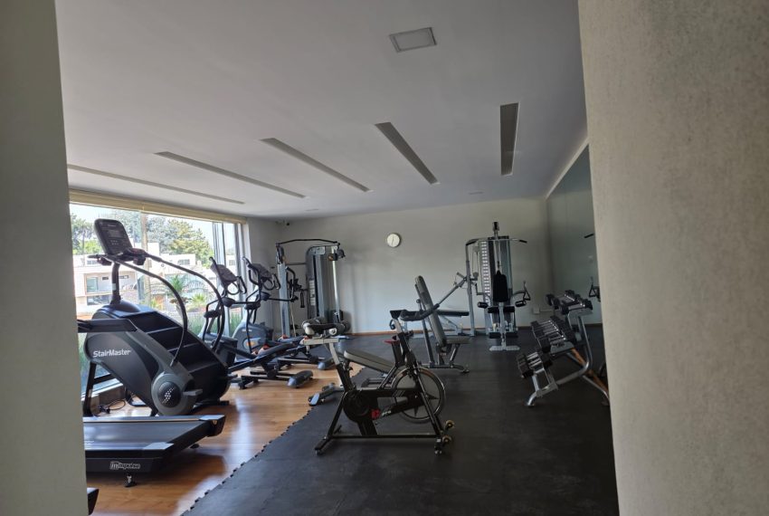 WhatsApp Image 2026-03-05 at 17.17.06 (1)