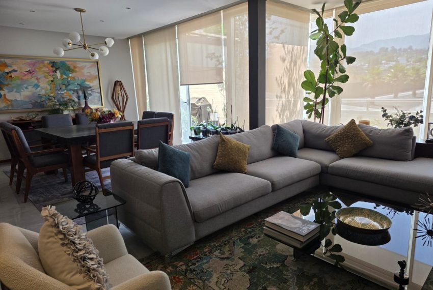 WhatsApp Image 2026-03-05 at 17.17.07 (1)