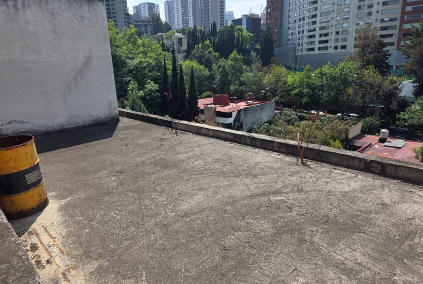 WhatsApp Image 2026-03-05 at 18.03.03 (11)