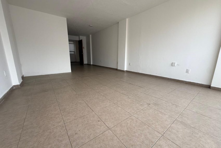 WhatsApp Image 2026-03-09 at 16.48.01 (2)